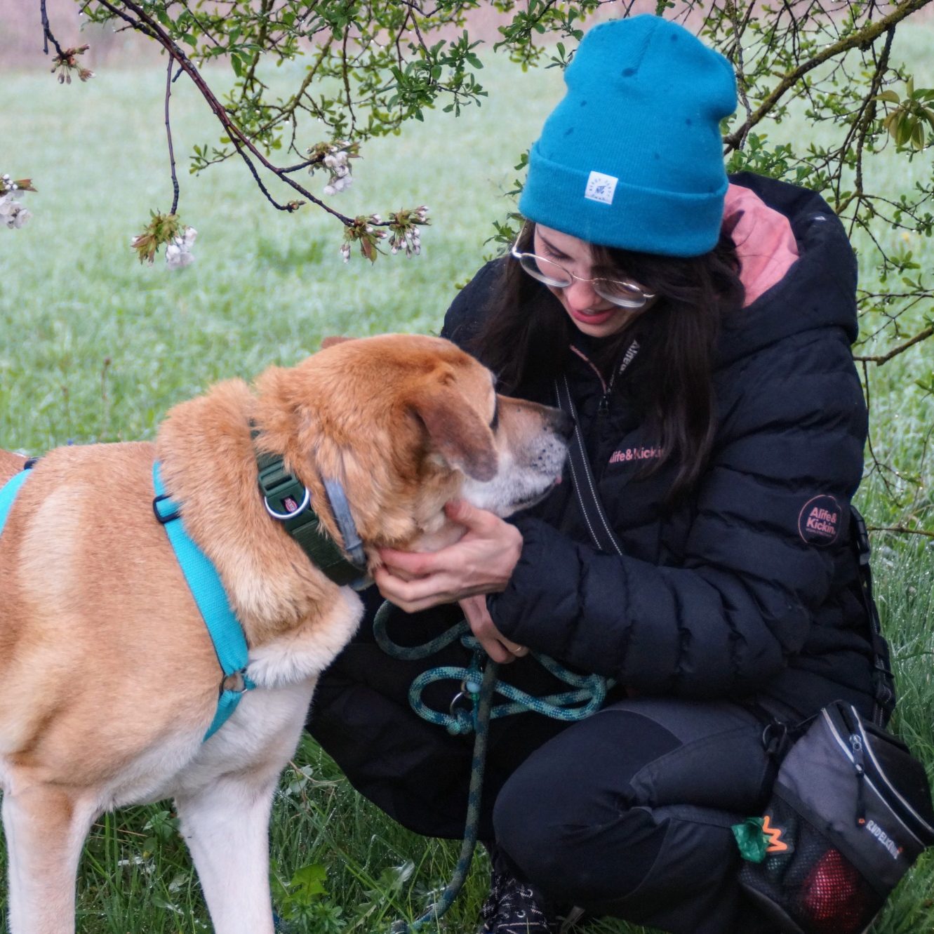 Hundetrainer Münsingen Hundetrainer Münsingen